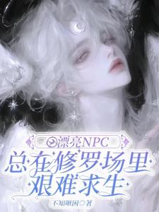 小漂亮npc美貌值爆表