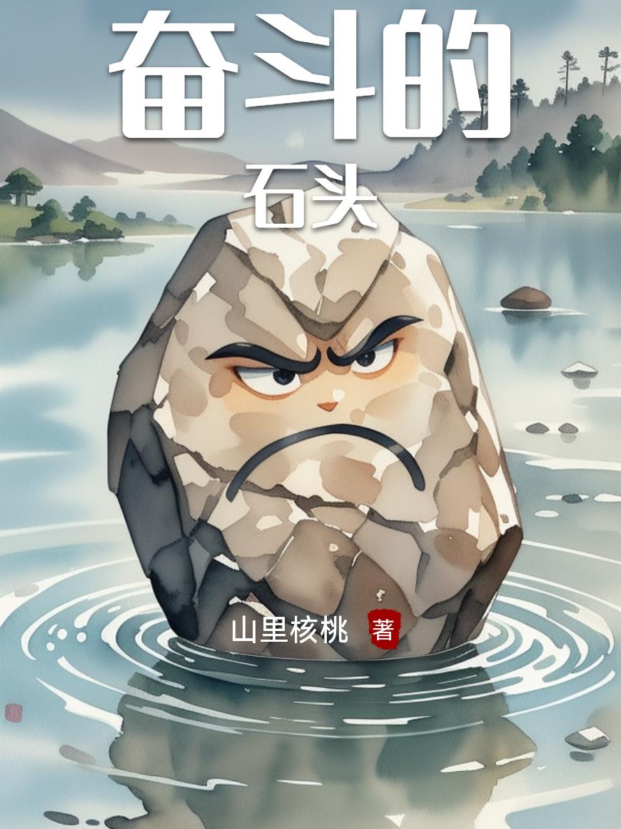 奋斗的石头